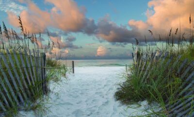 Exploring the Enchanting Beaches of Destin, Florida: A Tropical Oasis